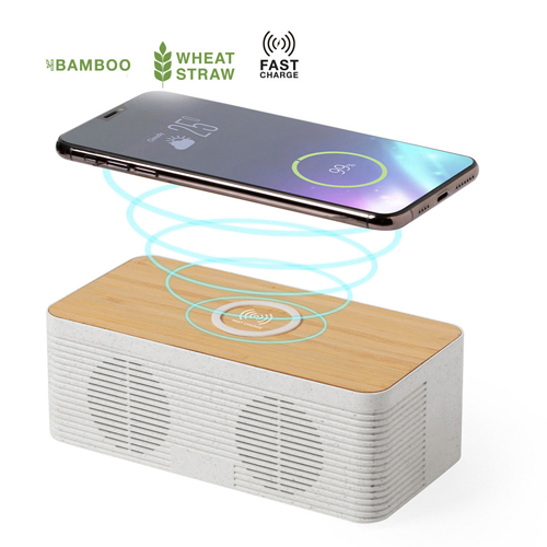 Charger Speaker Trecam